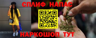 2c-b Кингисепп