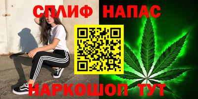Альфа ПВП Кимры