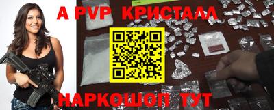 2c-b Кингисепп