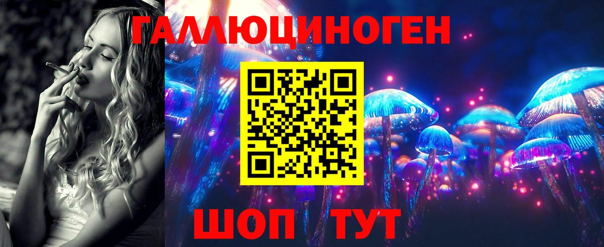 дарнет шоп  Псилоцибиновые грибы мухоморы  Заводоуковск  Вход с VPN  Галлюциногенные грибы Psilocybe 